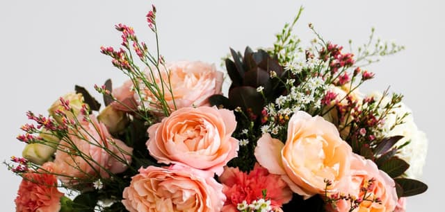 Flores