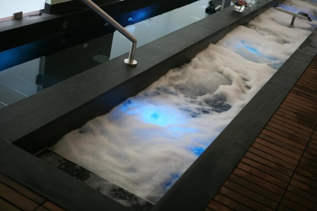 Regis Resort & Wellness