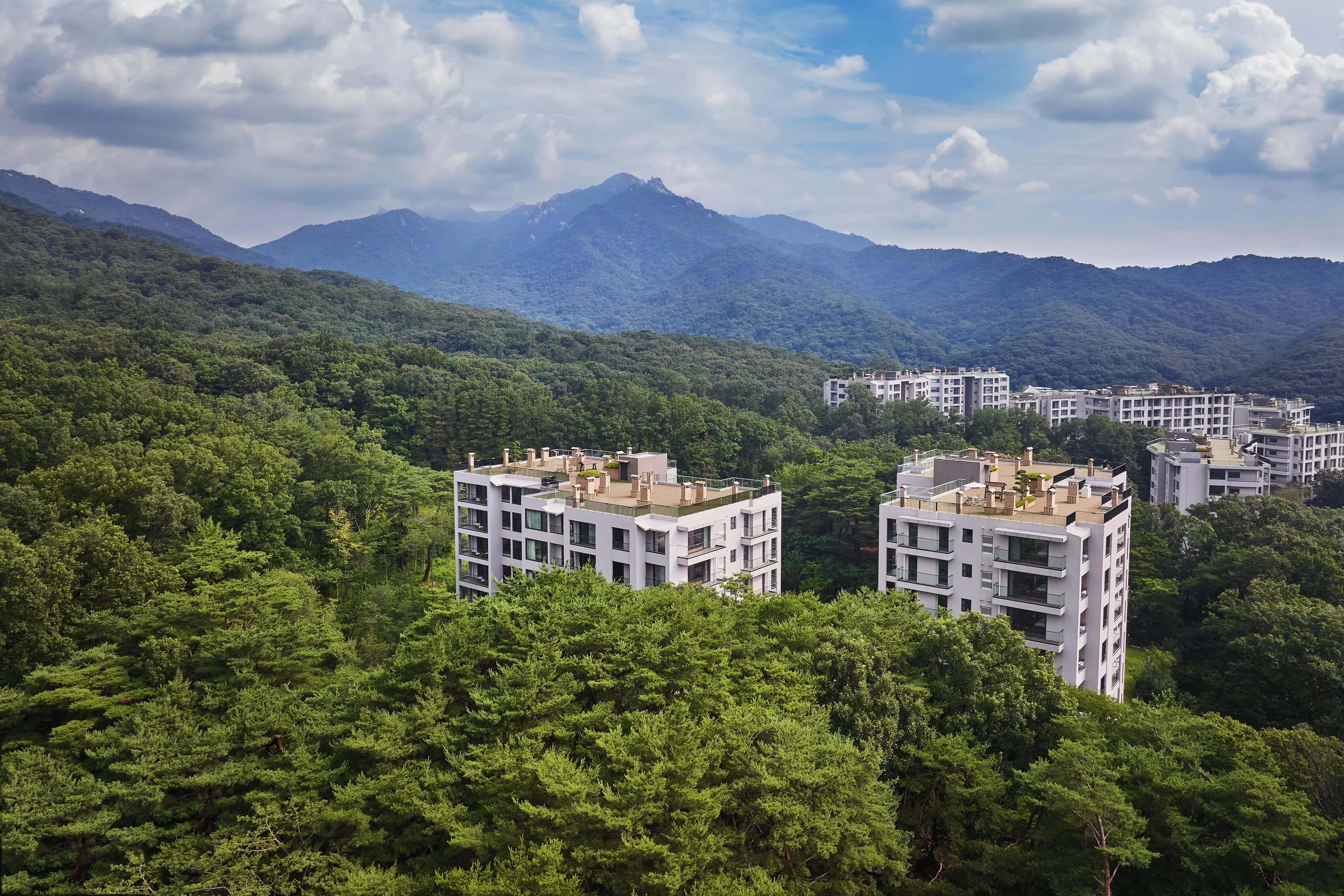 Paraspara Seoul  파라스파라 서울