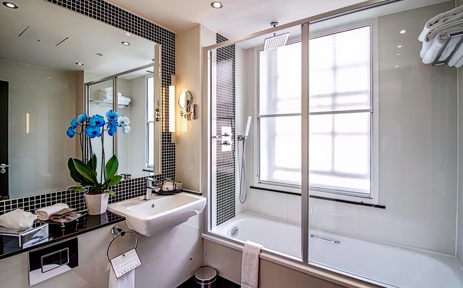 The Wellington by Blue Orchid Hospitality