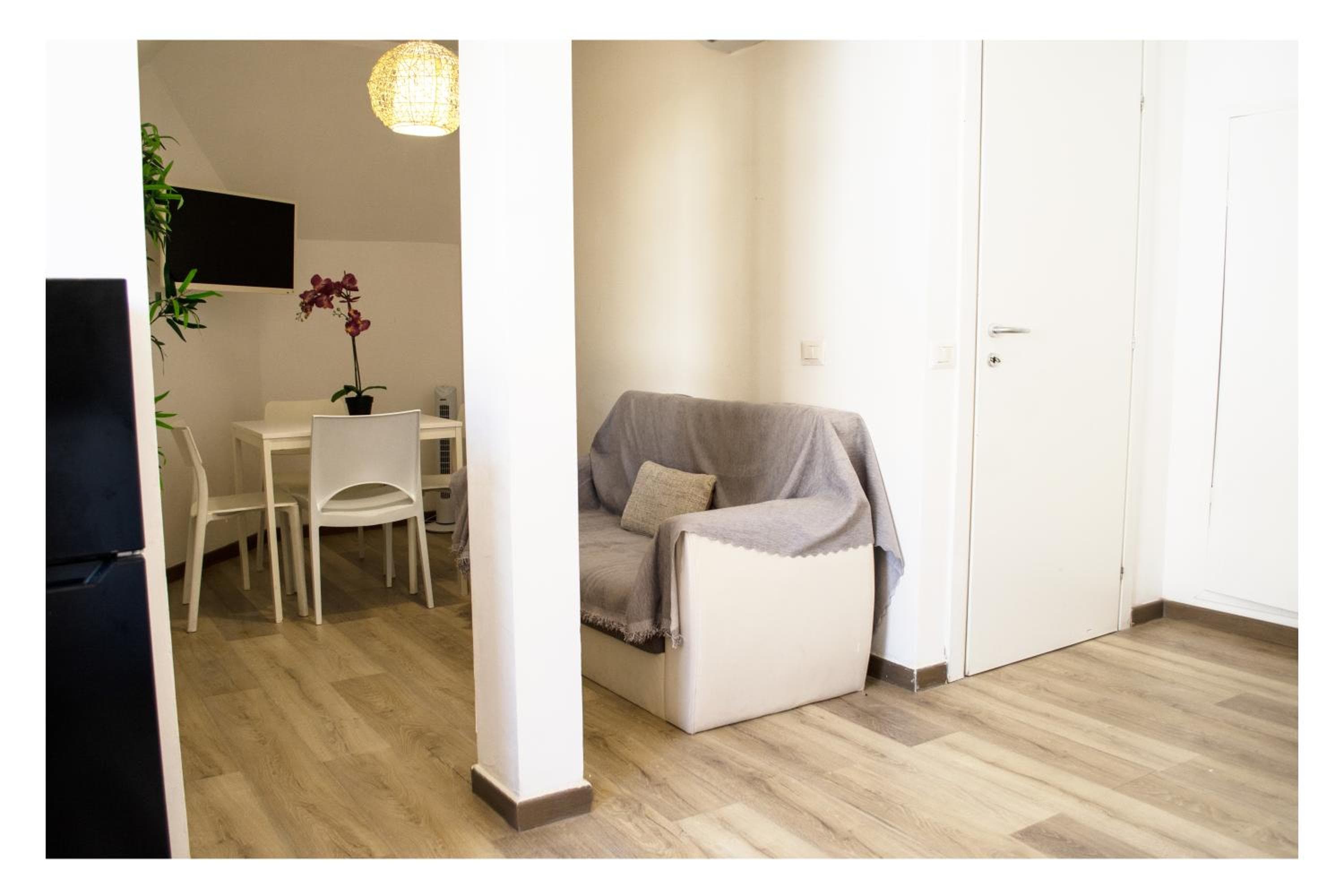 Ostia Holiday Collection