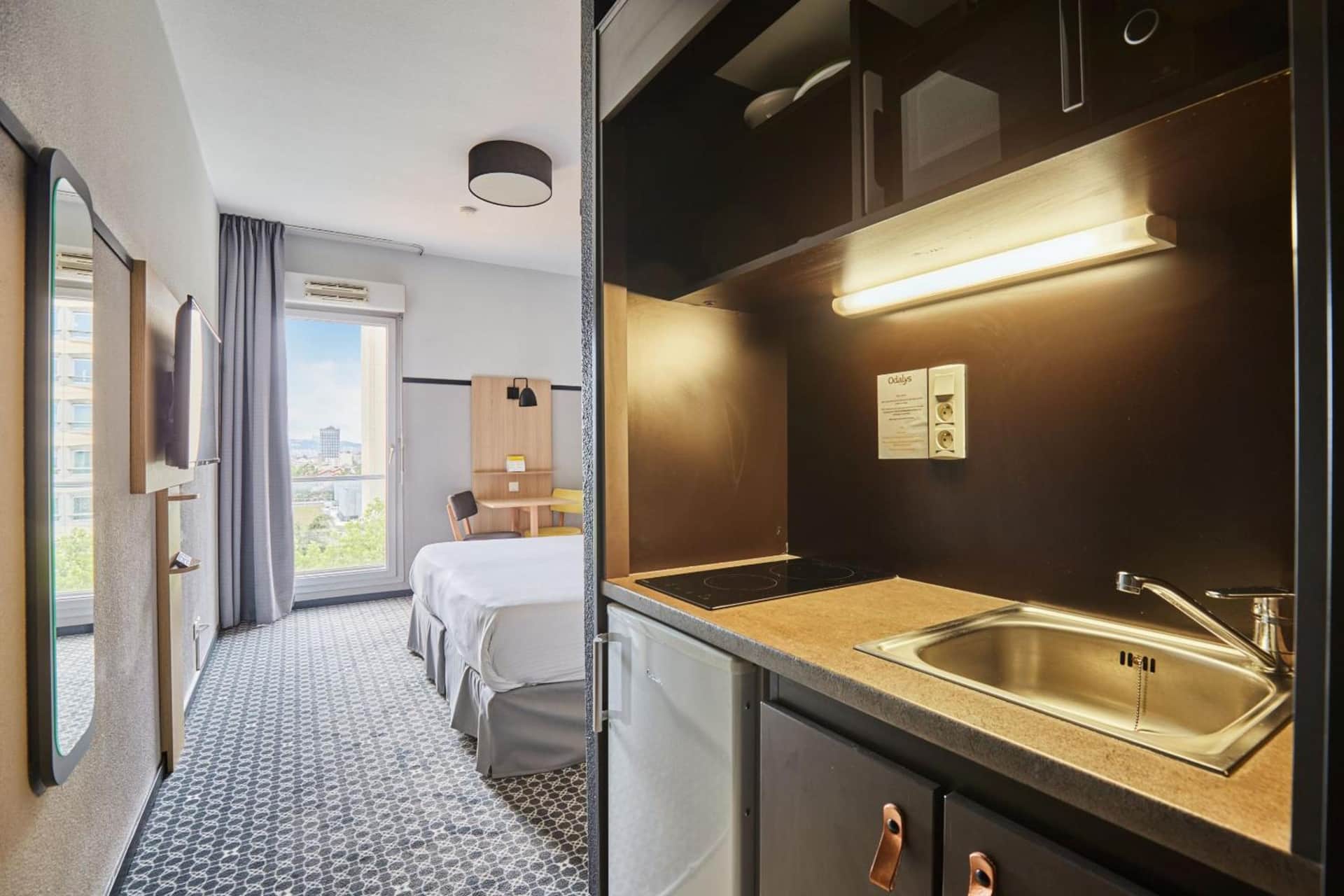 Appart'hôtel Odalys City Bioparc Lyon Est
